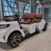 Electro-Cart/Golf-Cart/ Buggy  Only for BKK Airport